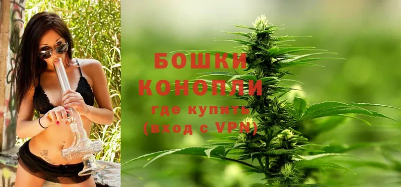 хочу наркоту  Александров  Конопля SATIVA & INDICA 